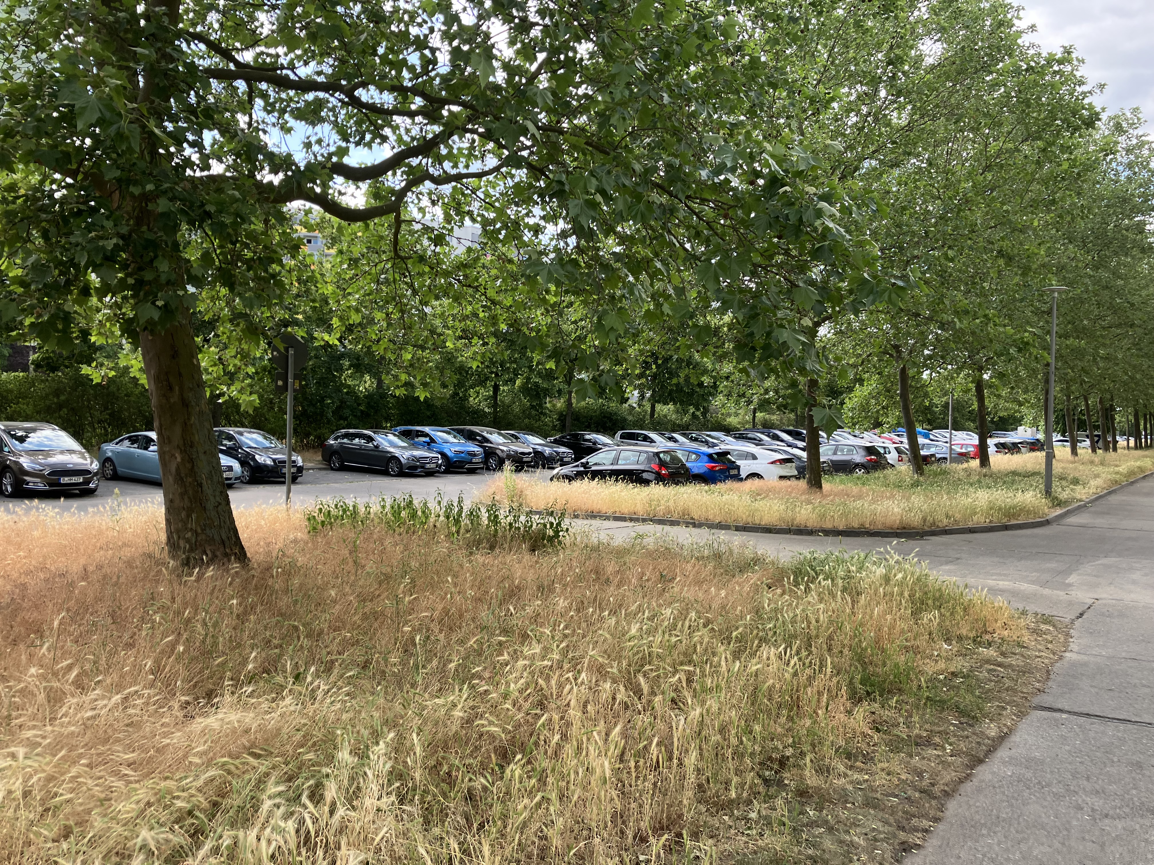 Straßenraum in der Zingster Straße