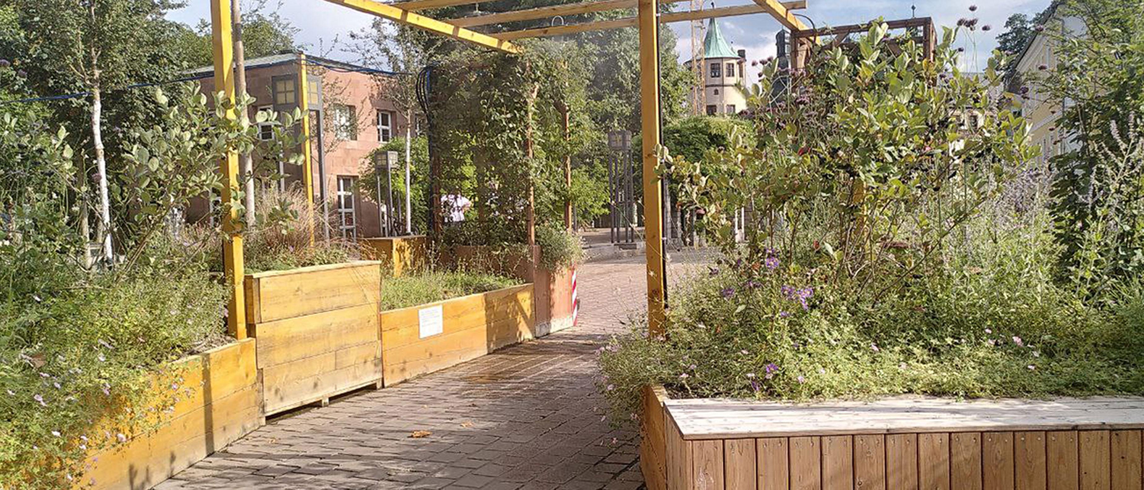 Grüne Oase in Speyer