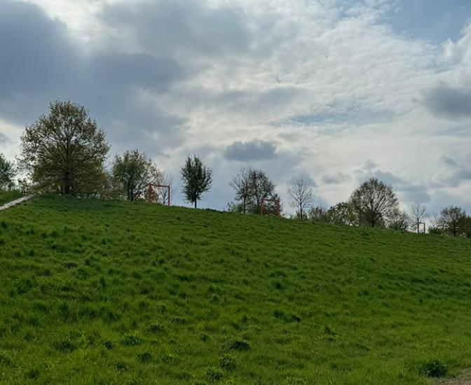 Blick auf das Plangebiet