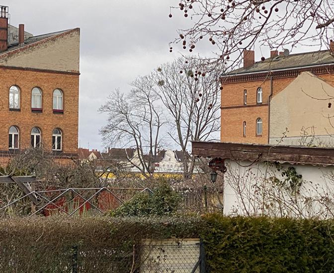 Blick auf das Projektgebiet