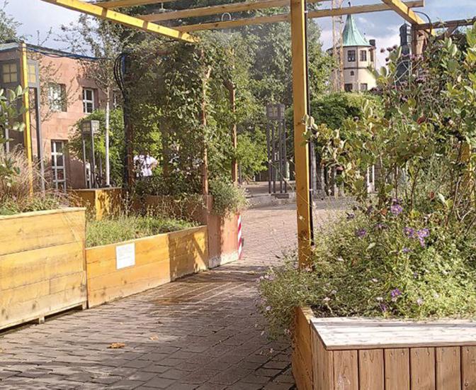 Grüne Oase in Speyer